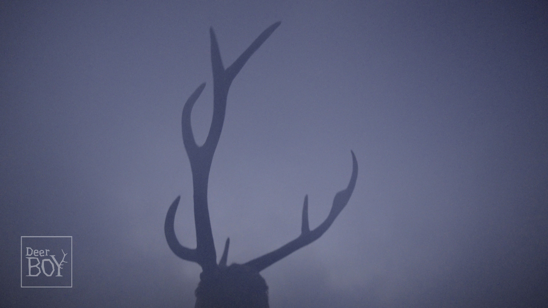 DEER BOY